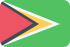 SMS marketing  Guyana