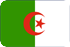 SMS marketing  Algeria
