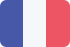 Bulk SMS sendings France